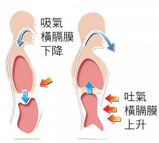 呼吸；呼吸??；肺氣腫；肺??；鍛煉